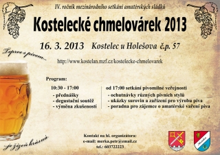 plakat_2013_mk2